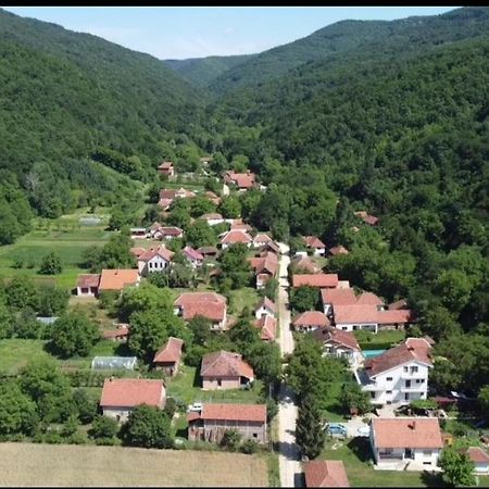 Domacinstvo Trifunovic Apartment Pretresnja Bagian luar foto