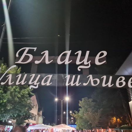 Domacinstvo Trifunovic Apartment Pretresnja Bagian luar foto