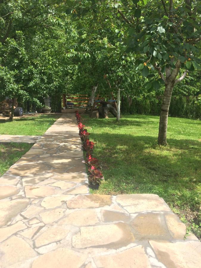 Domacinstvo Trifunovic Apartment Pretresnja Bagian luar foto