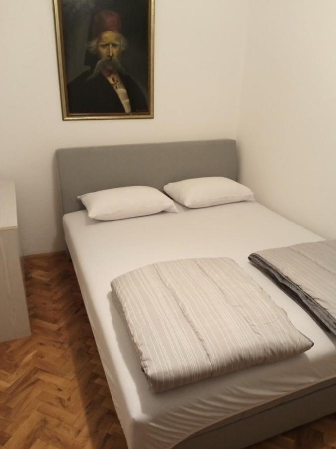 Domacinstvo Trifunovic Apartment Pretresnja Bagian luar foto