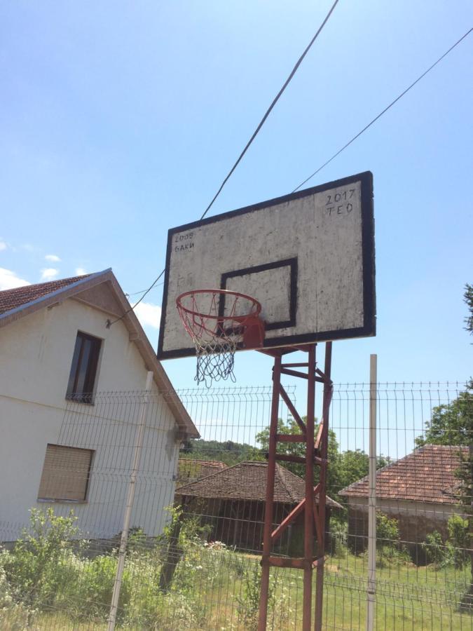 Domacinstvo Trifunovic Apartment Pretresnja Bagian luar foto