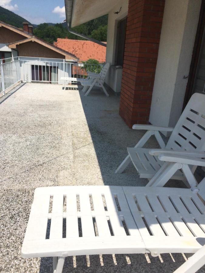 Domacinstvo Trifunovic Apartment Pretresnja Bagian luar foto