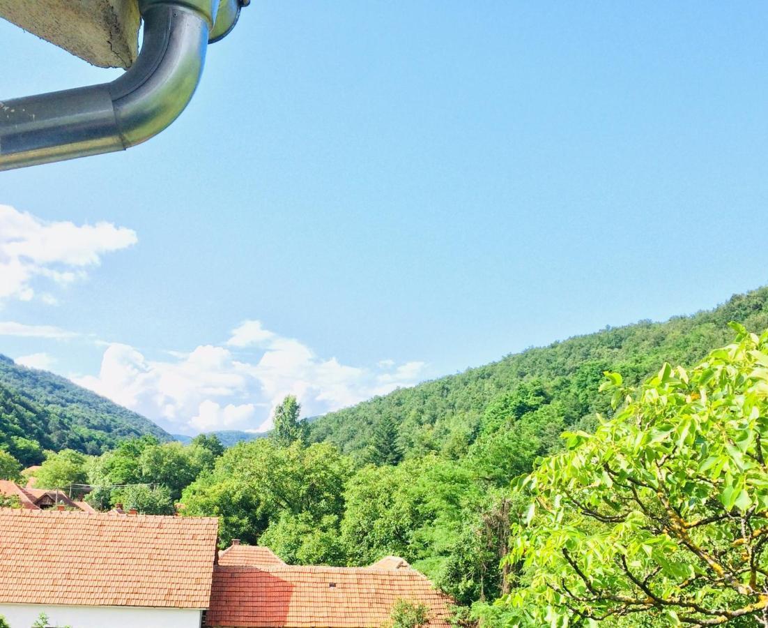 Domacinstvo Trifunovic Apartment Pretresnja Bagian luar foto