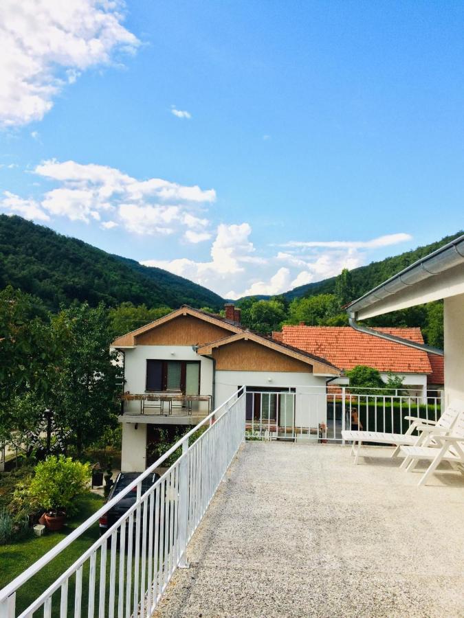 Domacinstvo Trifunovic Apartment Pretresnja Bagian luar foto