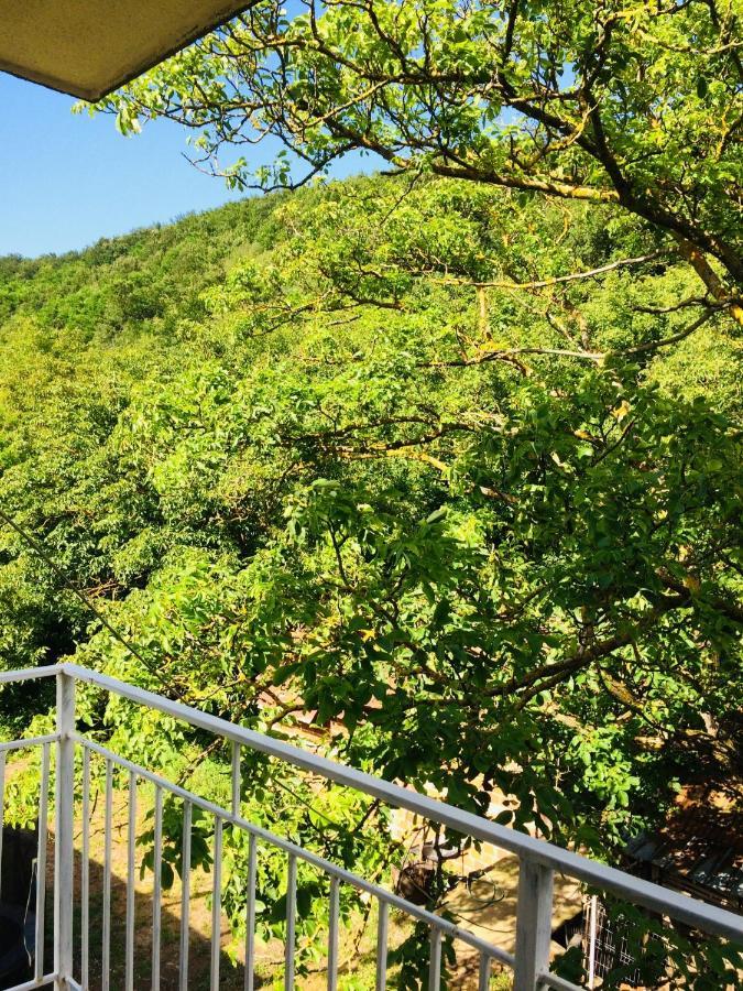 Domacinstvo Trifunovic Apartment Pretresnja Bagian luar foto