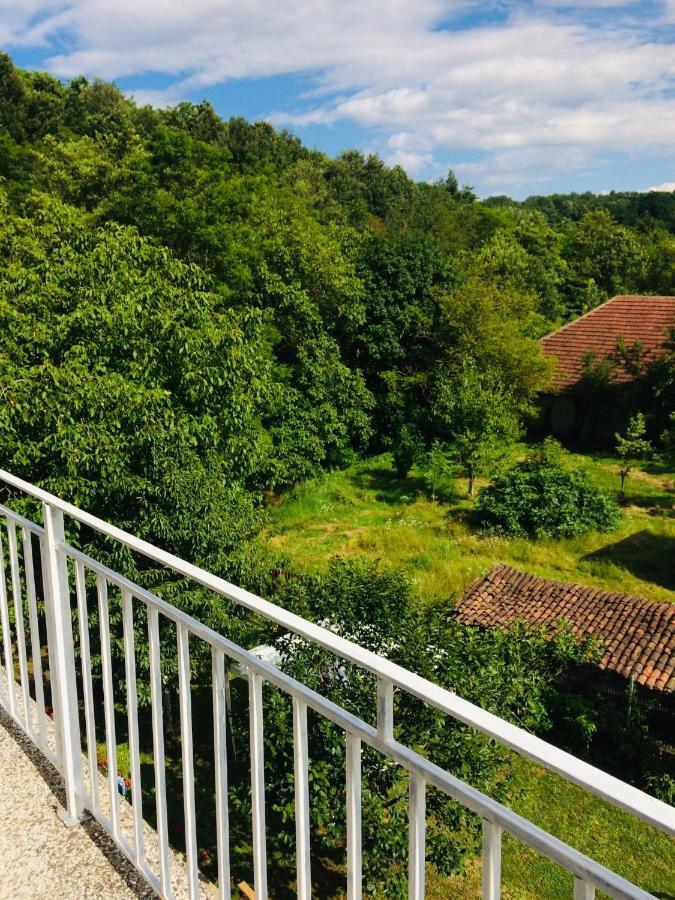 Domacinstvo Trifunovic Apartment Pretresnja Bagian luar foto