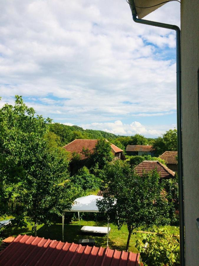 Domacinstvo Trifunovic Apartment Pretresnja Bagian luar foto