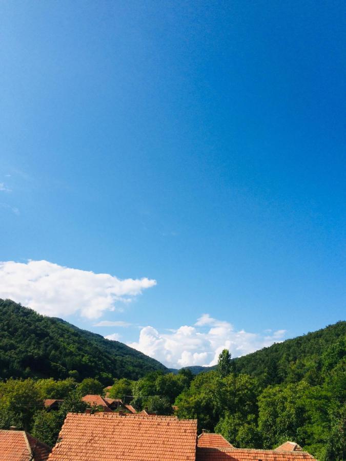 Domacinstvo Trifunovic Apartment Pretresnja Bagian luar foto