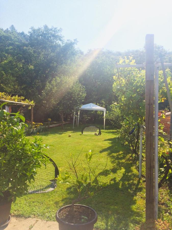 Domacinstvo Trifunovic Apartment Pretresnja Bagian luar foto