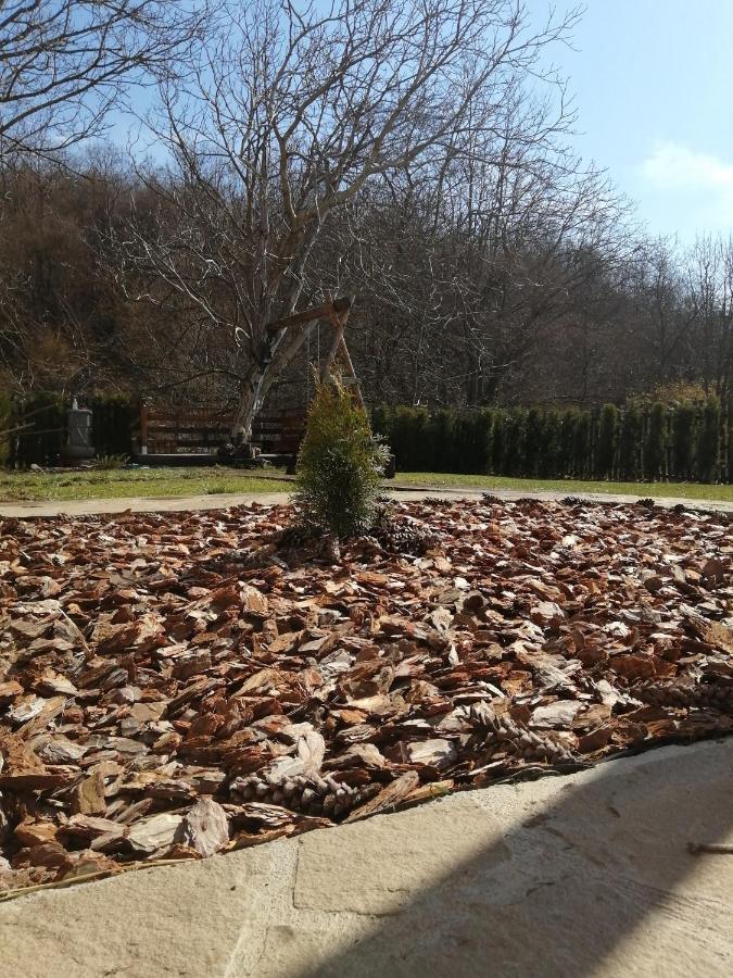 Domacinstvo Trifunovic Apartment Pretresnja Bagian luar foto