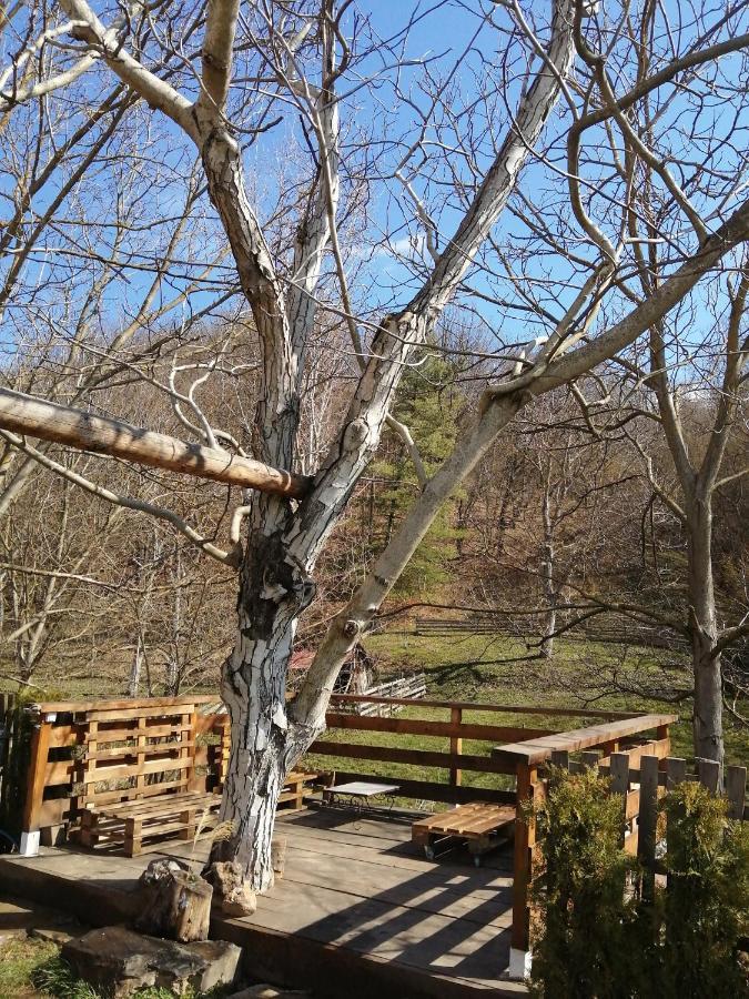 Domacinstvo Trifunovic Apartment Pretresnja Bagian luar foto