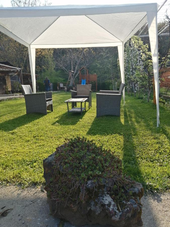 Domacinstvo Trifunovic Apartment Pretresnja Bagian luar foto