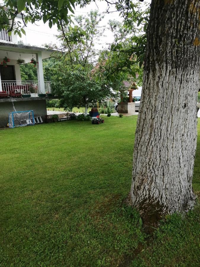 Domacinstvo Trifunovic Apartment Pretresnja Bagian luar foto