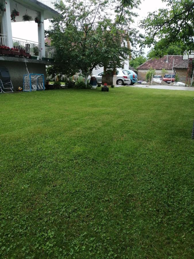 Domacinstvo Trifunovic Apartment Pretresnja Bagian luar foto