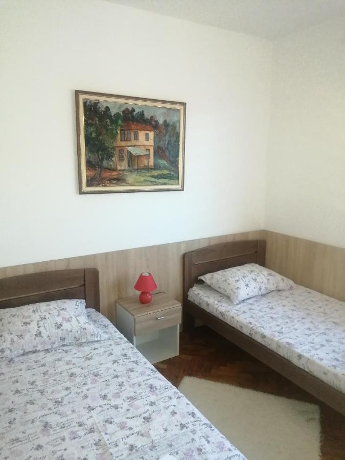 Domacinstvo Trifunovic Apartment Pretresnja Bagian luar foto