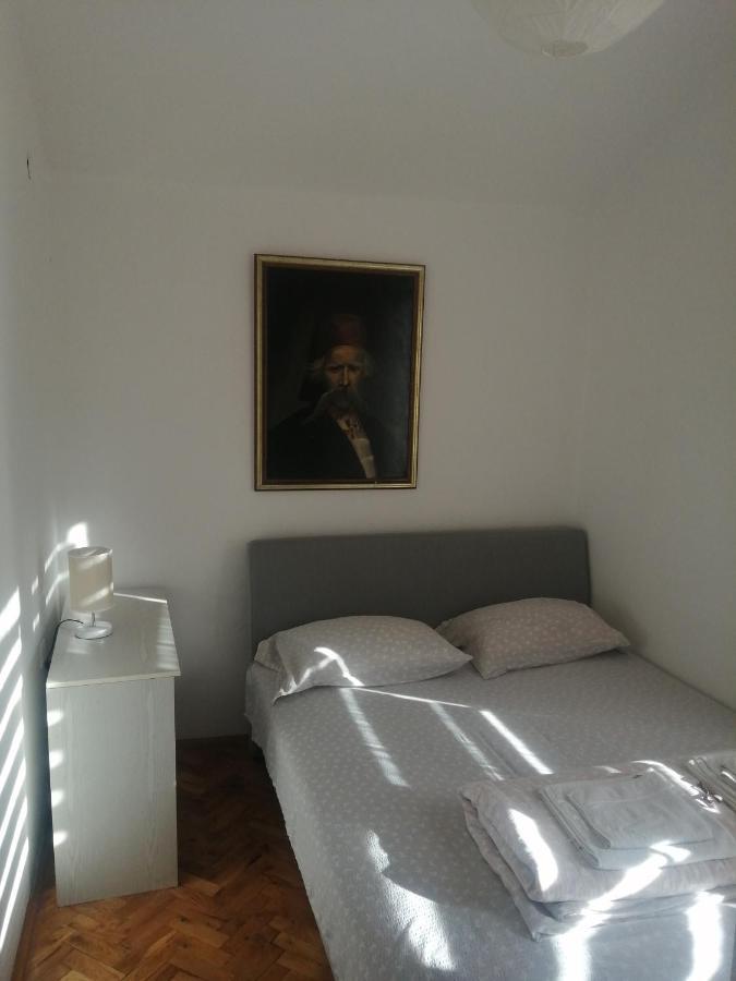 Domacinstvo Trifunovic Apartment Pretresnja Bagian luar foto