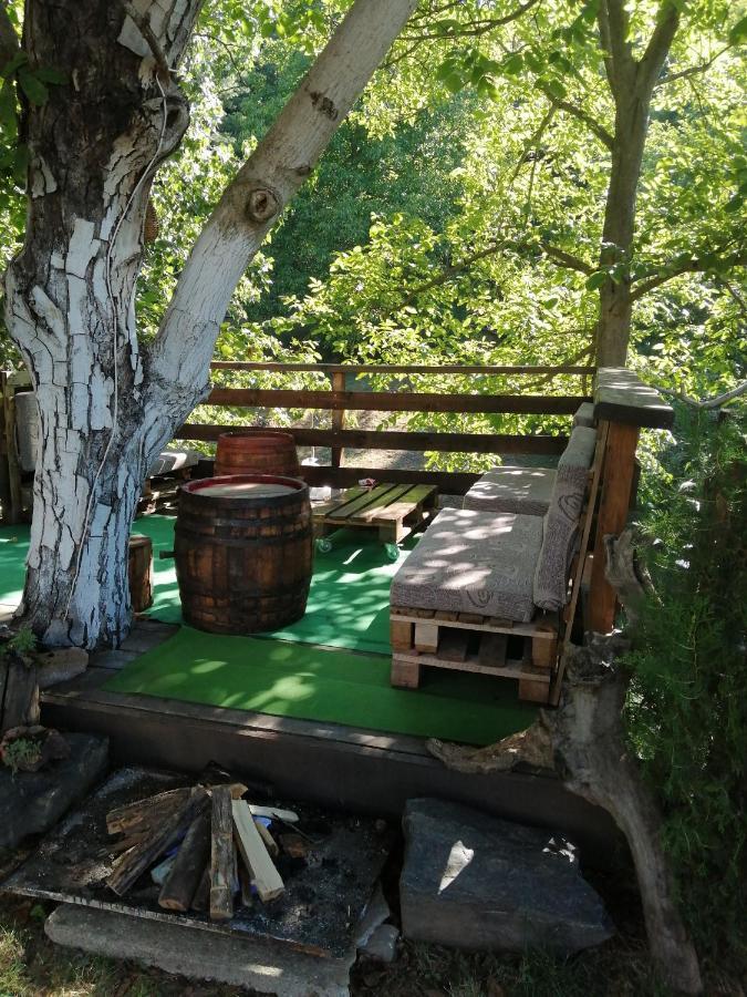 Domacinstvo Trifunovic Apartment Pretresnja Bagian luar foto