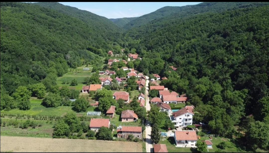 Domacinstvo Trifunovic Apartment Pretresnja Bagian luar foto